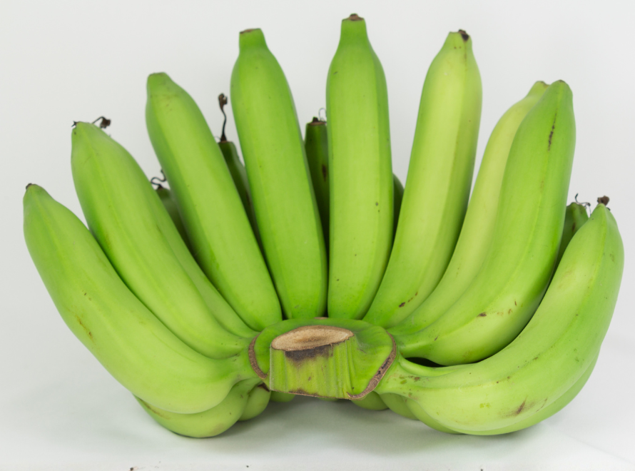 Banana Export Packaging KPPEX INDIA